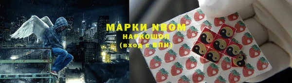 мдпв Лабытнанги