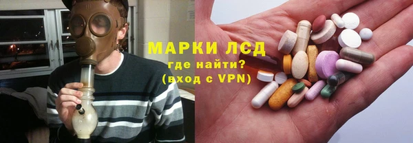 индика Пенза