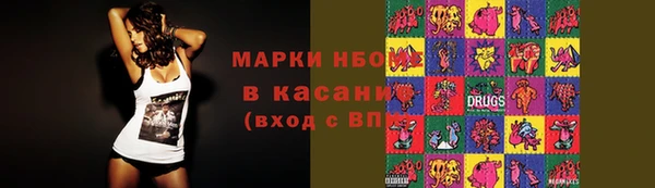 мдпв Лабытнанги