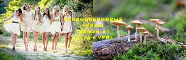 шишки Лагань