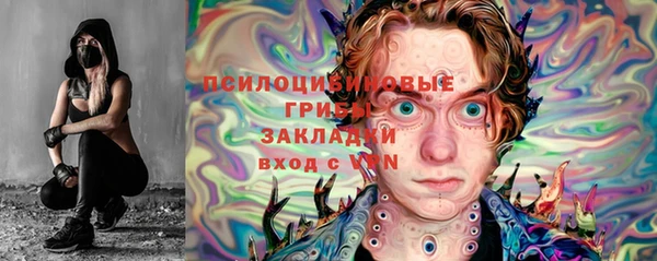 мдпв Лабытнанги