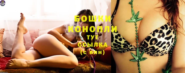 мдпв Лабытнанги