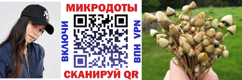 Псилоцибиновые грибы мухоморы  Комсомольск-на-Амуре 